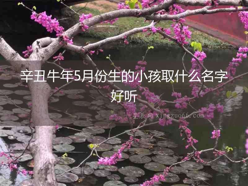 辛丑牛年5月份生的小孩取什么名字好聽