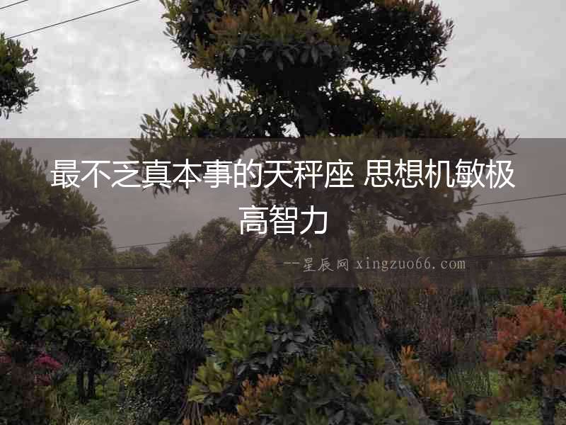 最不乏真本事的天秤座 思想機敏極高智力