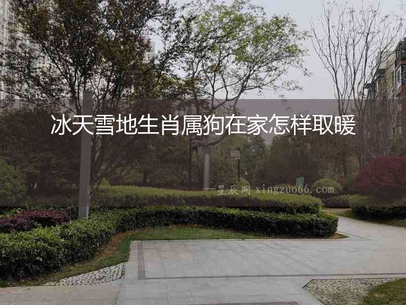 冰天雪地生肖屬狗在家怎樣取暖