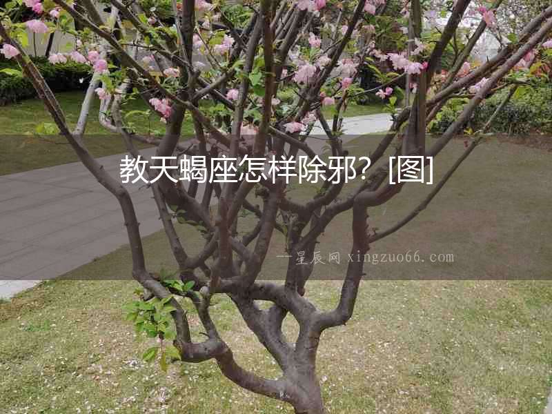 教天蝎座怎樣除邪？[圖]