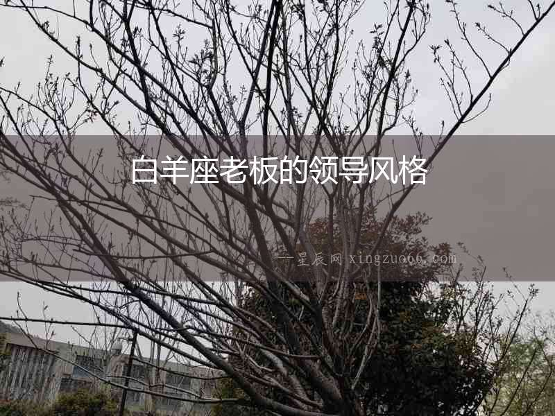 白羊座老板的領導風格