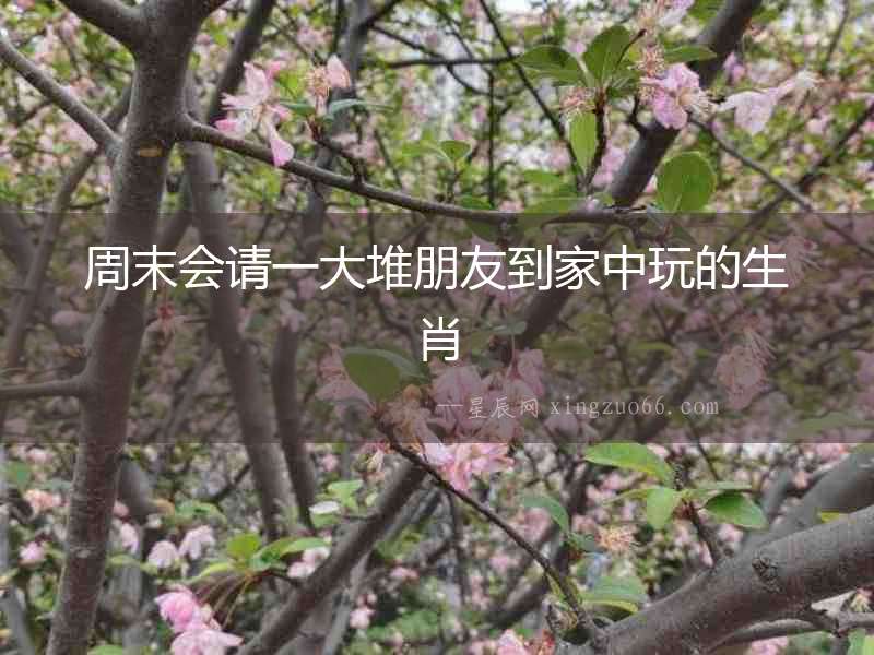 周末會請一大堆朋友到家中玩的生肖