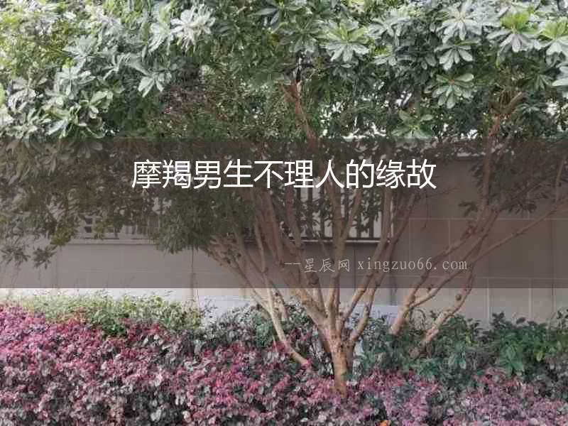 摩羯男生不理人的緣故