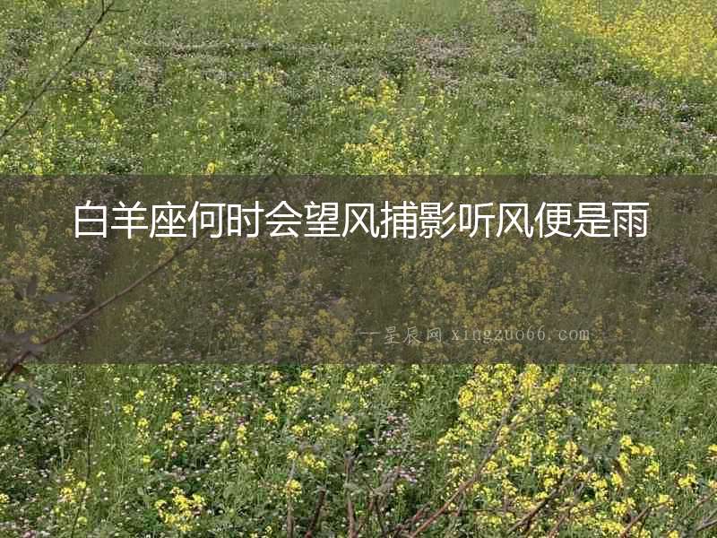白羊座何時會望風捕影聽風便是雨