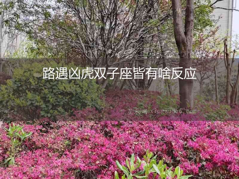 路遇兇虎雙子座皆有啥反應