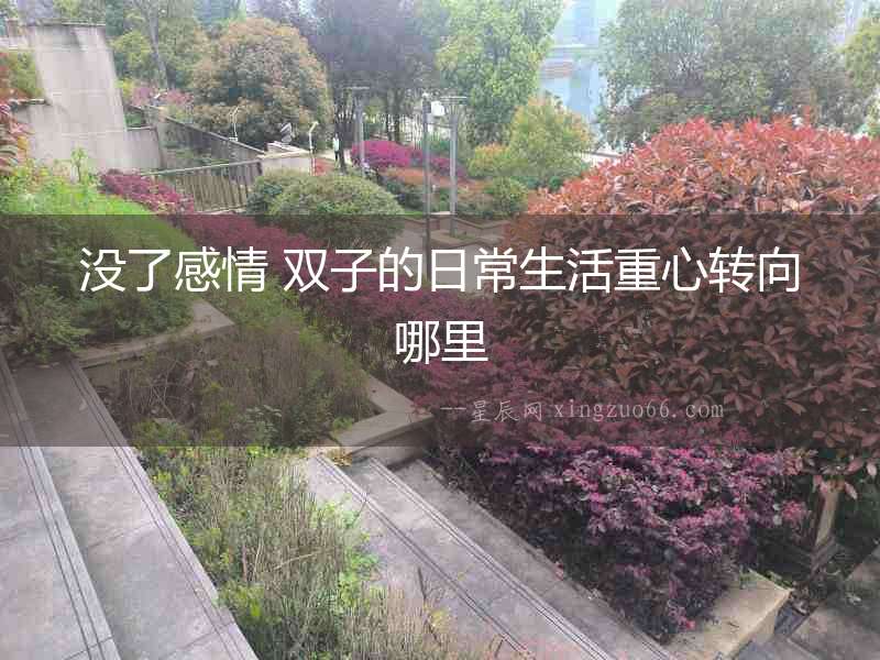 沒了感情 雙子的日常生活重心轉向哪里