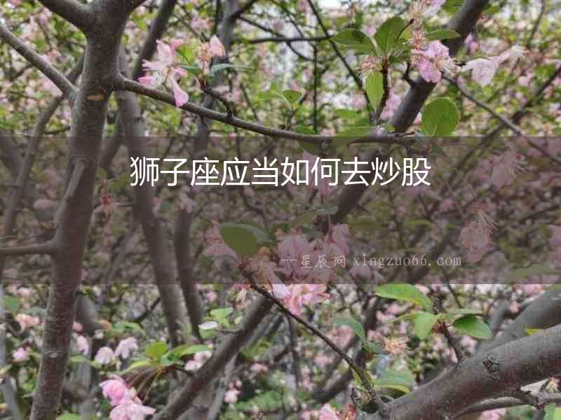 獅子座應當如何去炒股