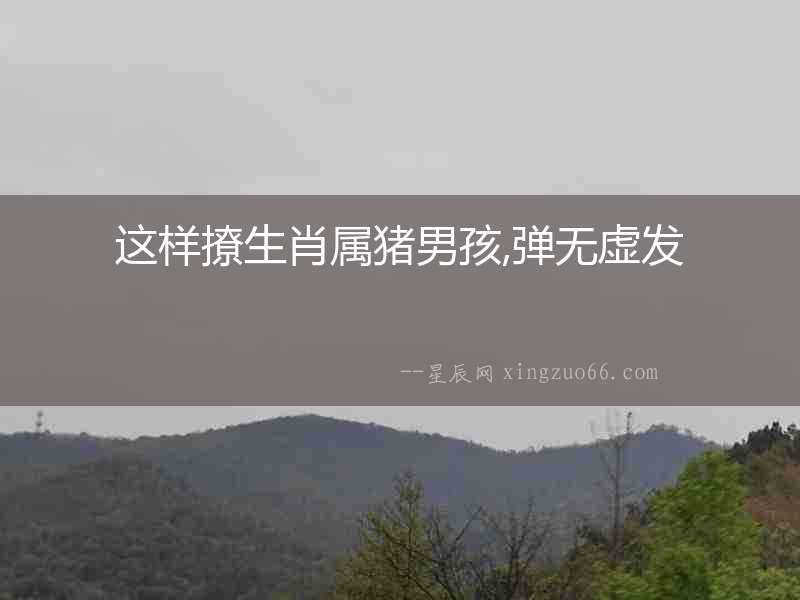 這樣撩生肖屬豬男孩,彈無虛發