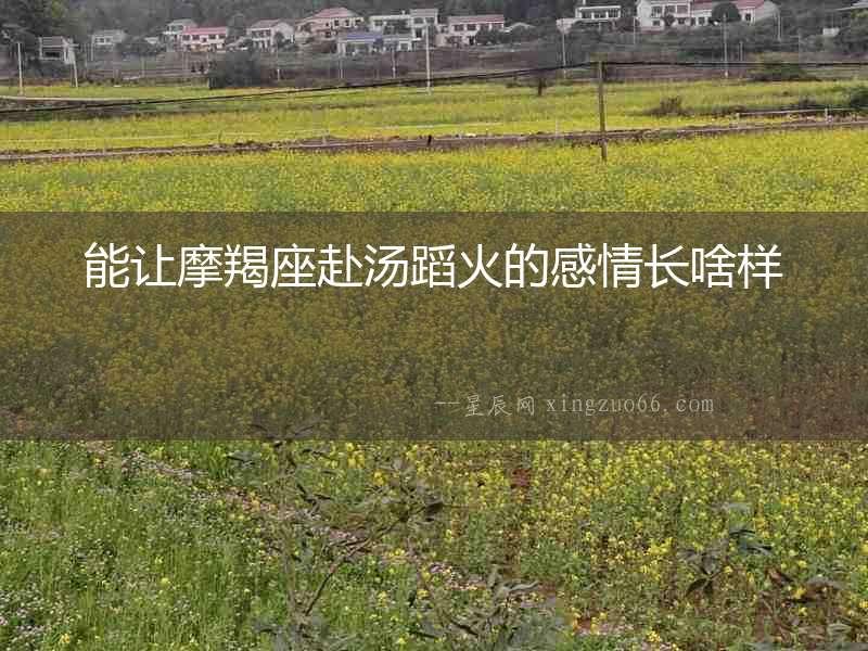 能讓摩羯座赴湯蹈火的感情長(zhǎng)啥樣