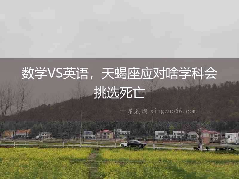 數學VS英語，天蝎座應對啥學科會挑選死亡