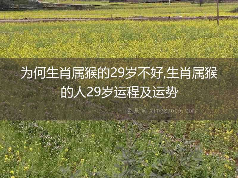 為何生肖屬猴的29歲不好,生肖屬猴的人29歲運程及運勢