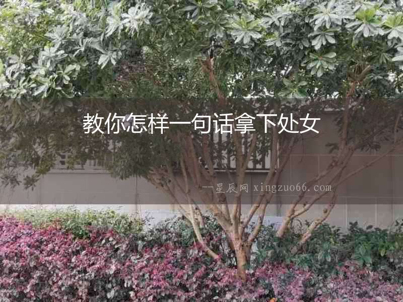 教你怎樣一句話拿下處女