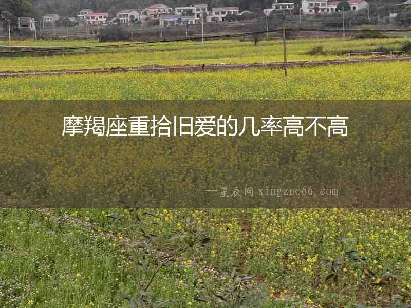 摩羯座重拾舊愛的幾率高不高
