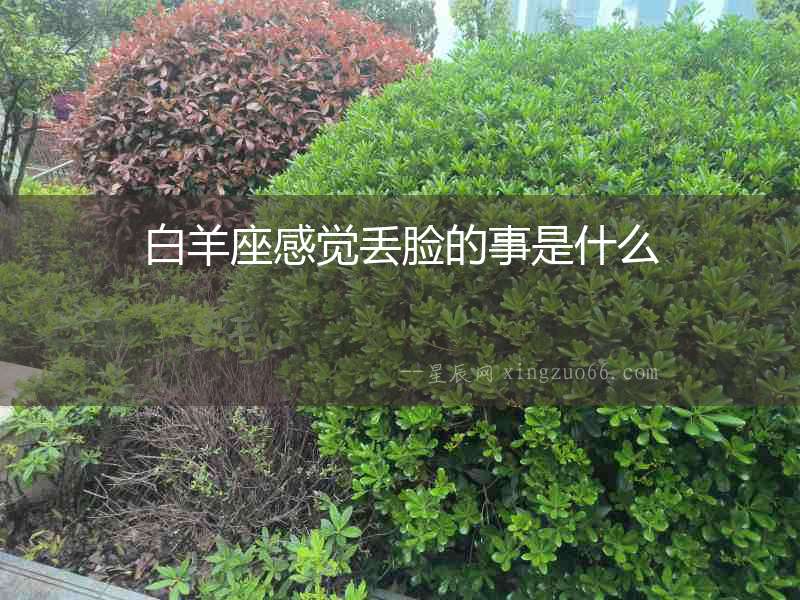 白羊座感覺丟臉的事是什么