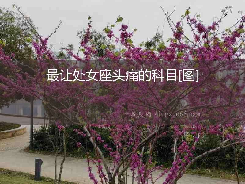 最讓處女座頭痛的科目[圖]