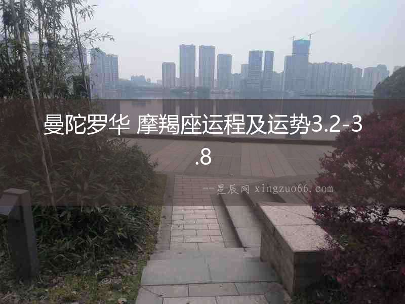 曼陀羅華 摩羯座運程及運勢3.2-3.8