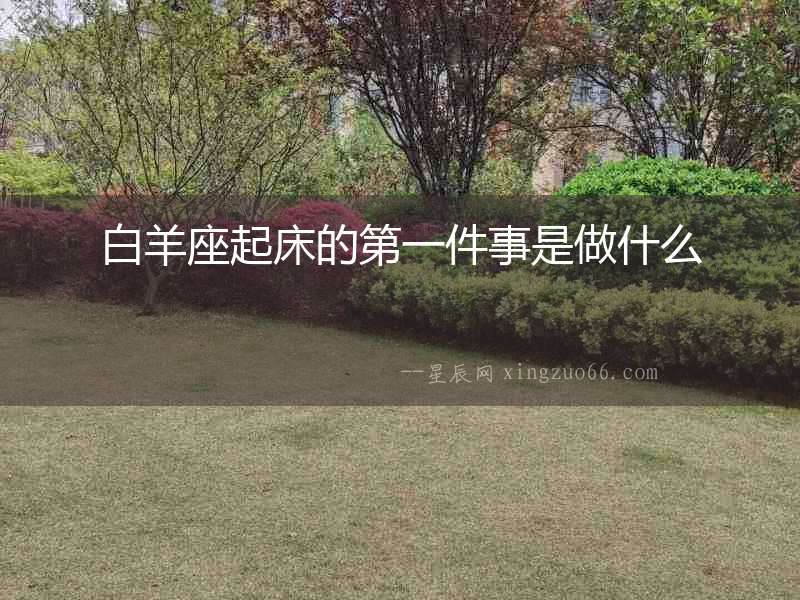 白羊座起床的第一件事是做什么
