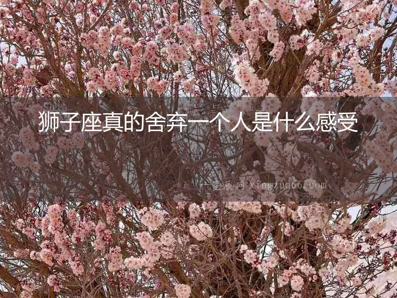 獅子座真的舍棄一個(gè)人是什么感受