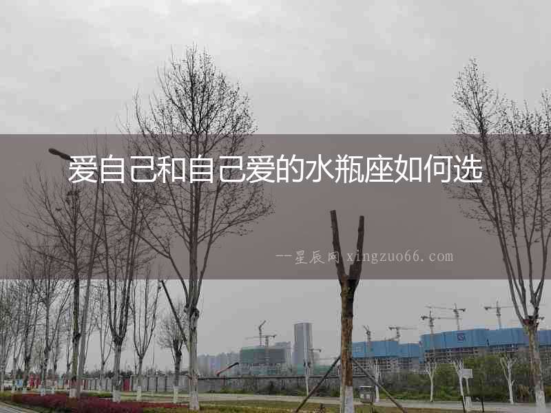 愛自己和自己愛的水瓶座如何選
