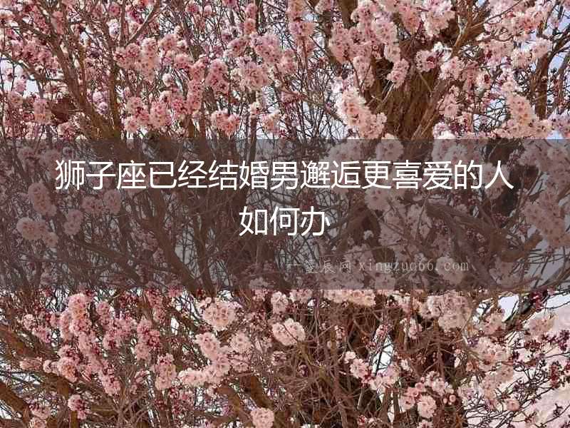 獅子座已經結婚男邂逅更喜愛的人如何辦