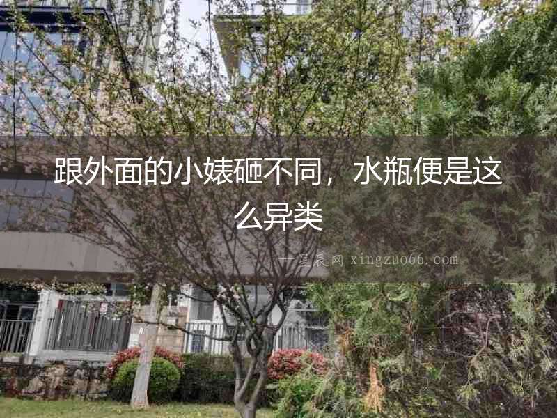 跟外面的小婊砸不同，水瓶便是這么異類