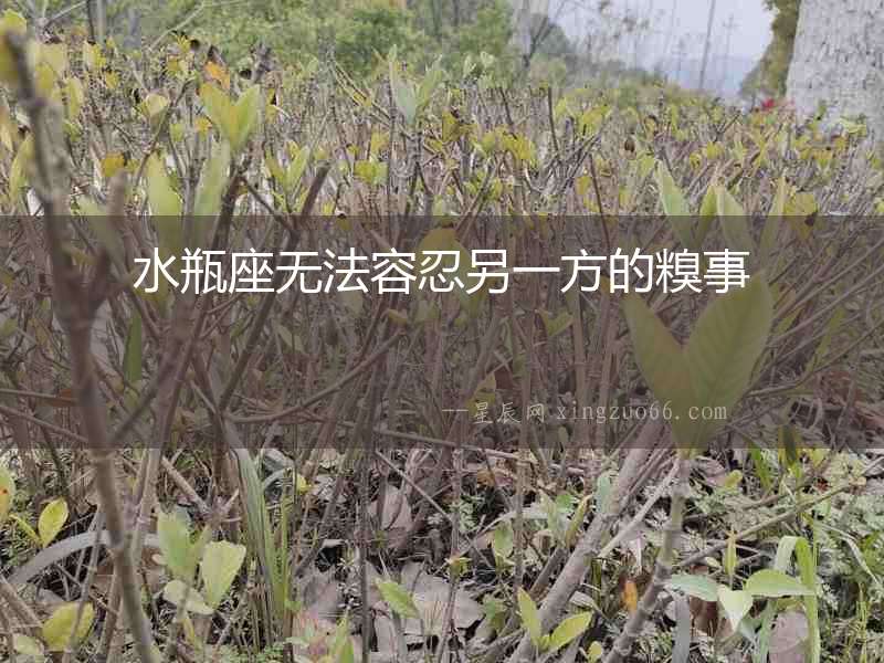 水瓶座無法容忍另一方的糗事