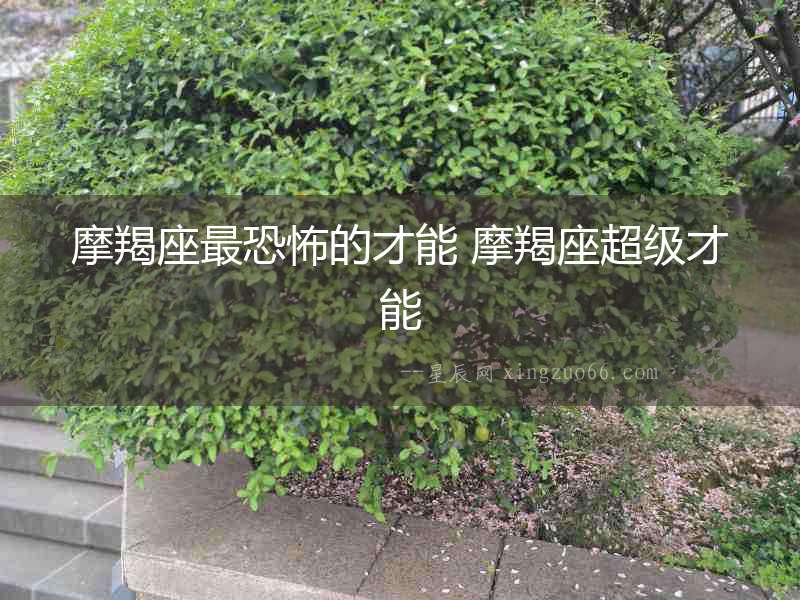 摩羯座最恐怖的才能 摩羯座超級(jí)才能