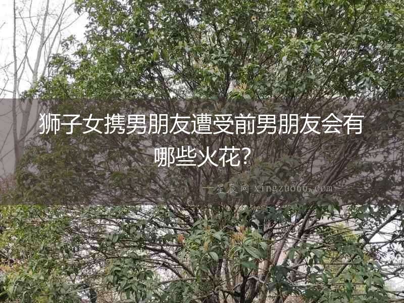 獅子女攜男朋友遭受前男朋友會有哪些火花？