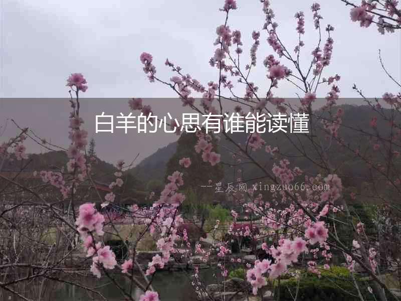 白羊的心思有誰能讀懂