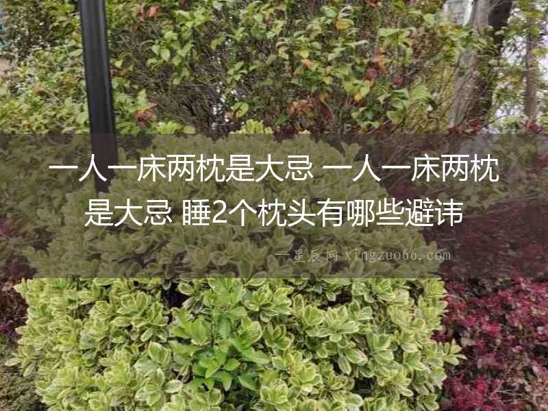 一人一床兩枕是大忌 一人一床兩枕是大忌 睡2個(gè)枕頭有哪些避諱