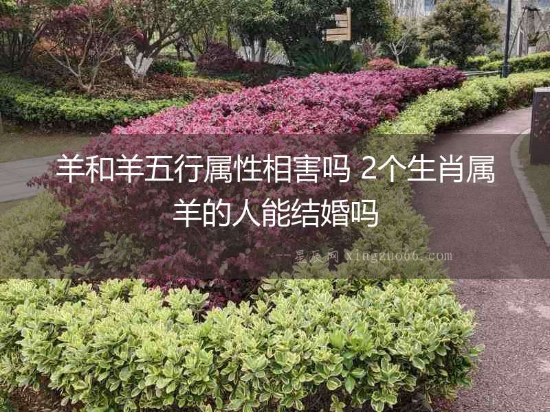 羊和羊五行屬性相害嗎 2個(gè)生肖屬羊的人能結(jié)婚嗎