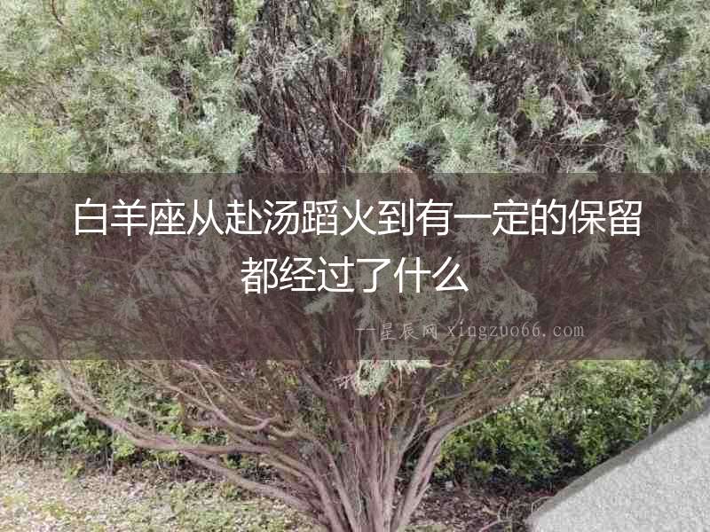 白羊座從赴湯蹈火到有一定的保留都經過了什么