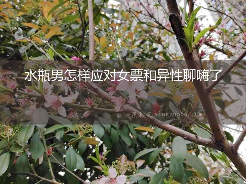 水瓶男怎樣應(yīng)對(duì)女票和異性聊嗨了