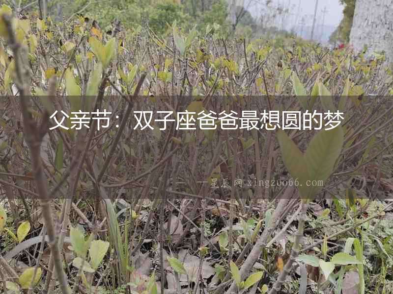 父親節：雙子座爸爸最想圓的夢