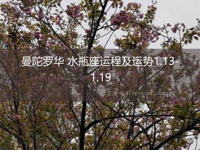 曼陀羅華 水瓶座運程及運勢1.13-1.19