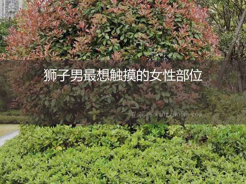獅子男最想觸摸的女性部位
