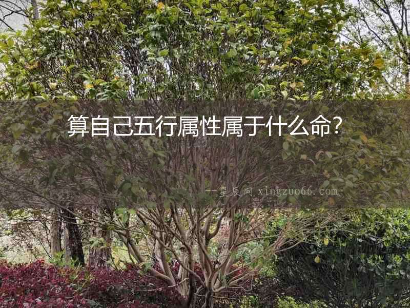 算自己五行屬性屬于什么命？