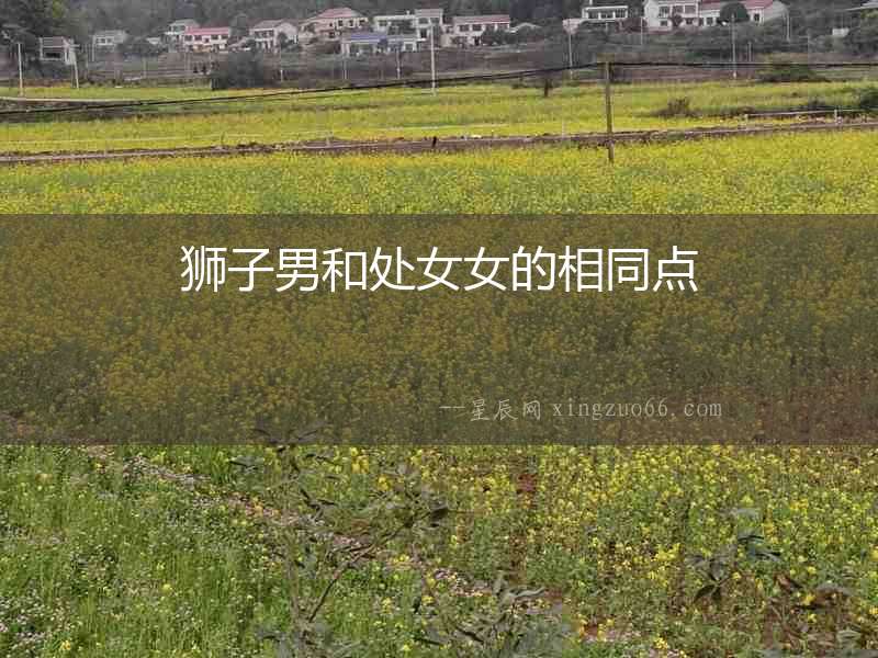 獅子男和處女女的相同點