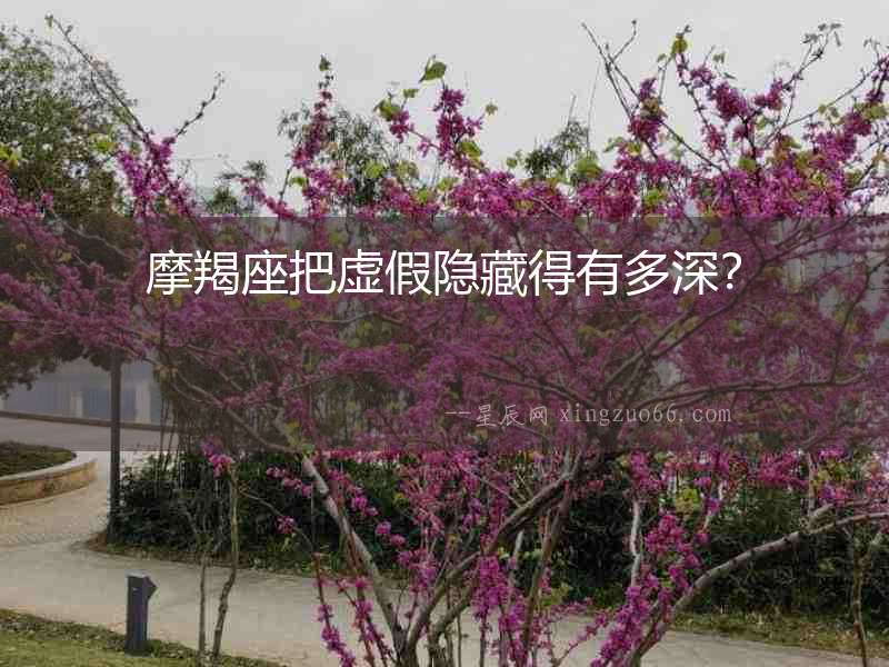 摩羯座把虛假隱藏得有多深？