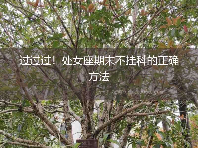 過過過！處女座期末不掛科的正確方法