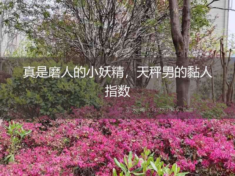 真是磨人的小妖精，天秤男的黏人指數