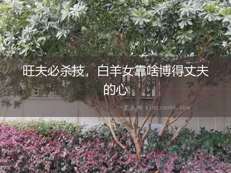 旺夫必殺技，白羊女靠啥博得丈夫的心