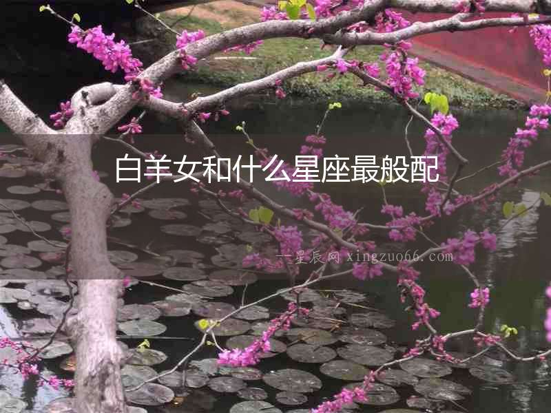 白羊女和什么星座最般配