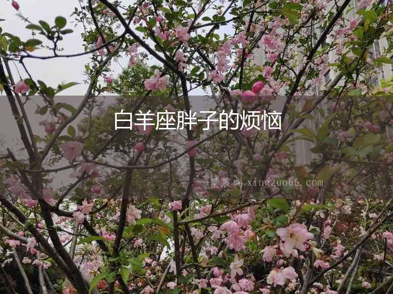 白羊座胖子的煩惱