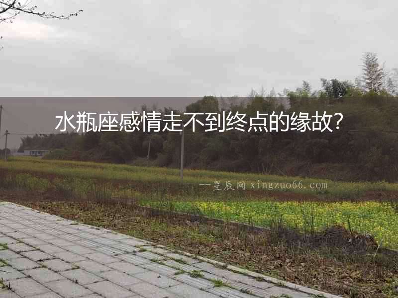水瓶座感情走不到終點的緣故？