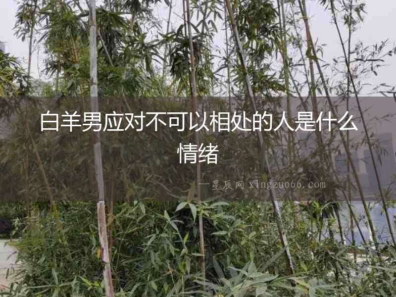 白羊男應對不可以相處的人是什么情緒