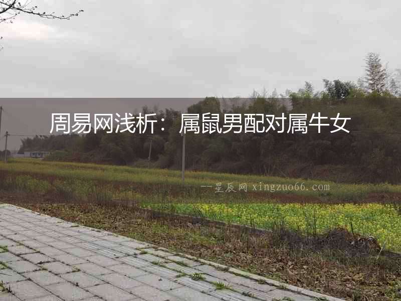 周易網淺析：屬鼠男配對屬牛女
