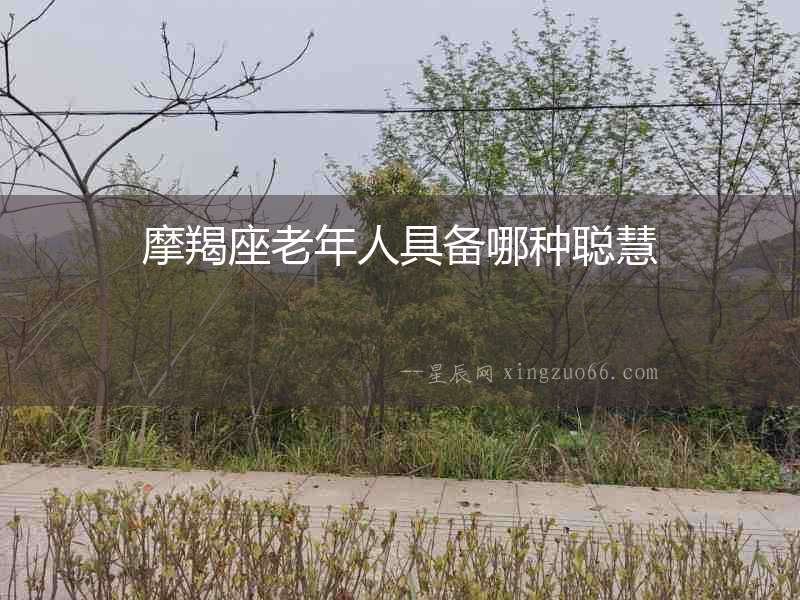 摩羯座老年人具備哪種聰慧