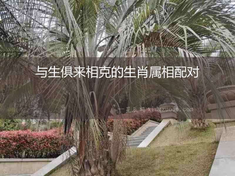 與生俱來相克的生肖屬相配對
