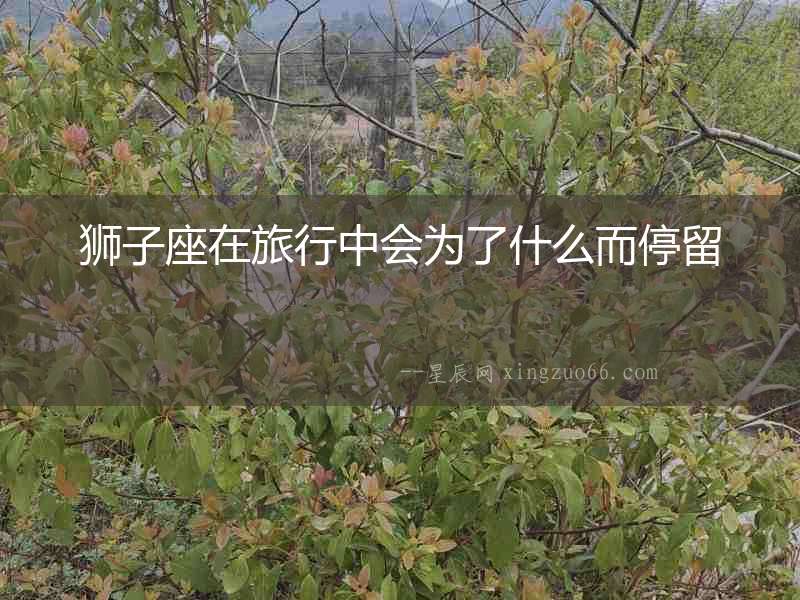 獅子座在旅行中會為了什么而停留